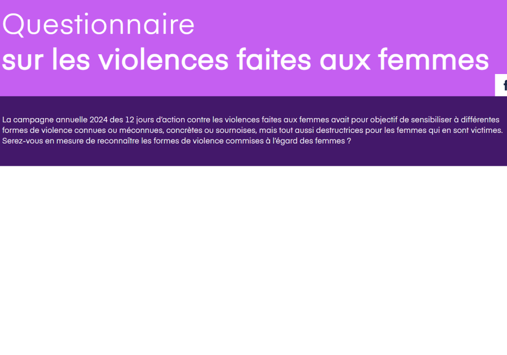 Questionnaire sur les violences faites aux femmes